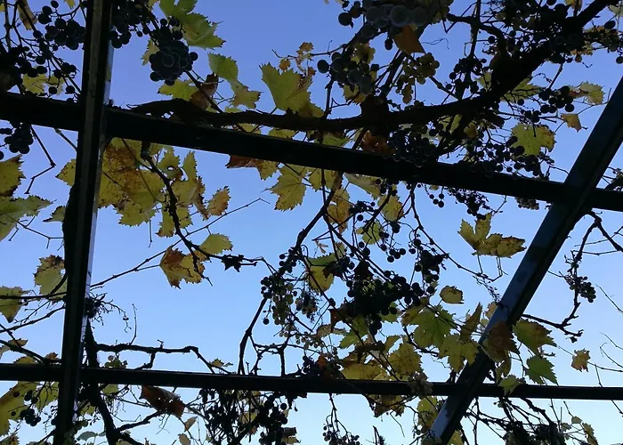 בית נופש Halte Air Et Go